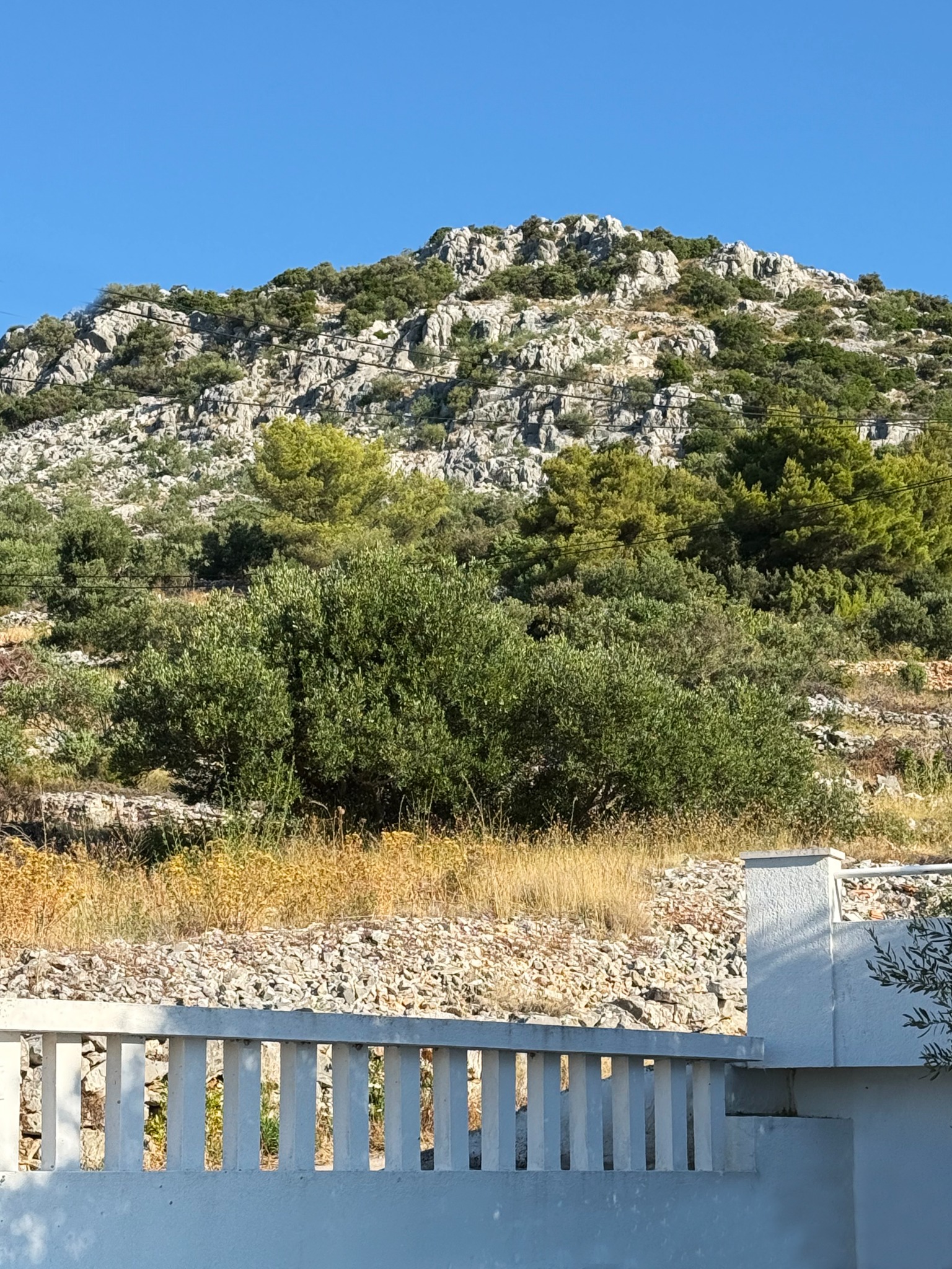Hills above Seget Vranjica