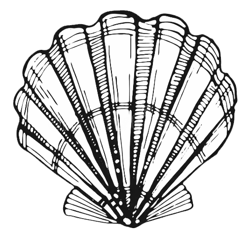 Villa Valentina Shell Logo